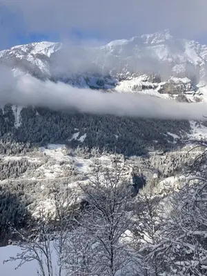 Naturlandschaft in der Nähe des Hotels