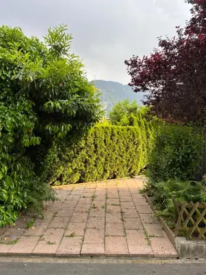 Naturlandschaft in der Nähe des Ferienhauses