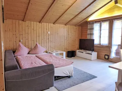 TV/Unterhaltungsangebot in der Unterkunft Apartment Chalet Vamika by Interhome
