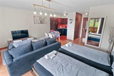 TV/Unterhaltungsangebot in der Unterkunft Joli appartement au centre