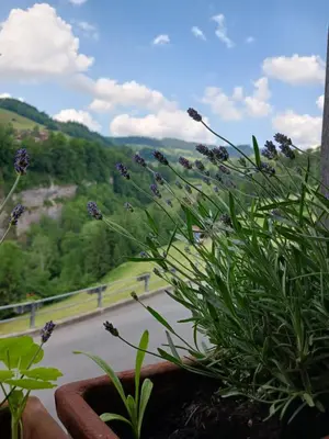 Naturlandschaft in der Nähe der Ferienwohnung
