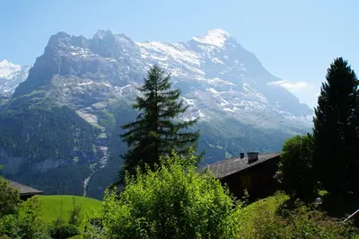 Naturlandschaft in der Nähe der Ferienwohnung