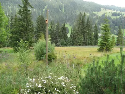 Naturlandschaft in der Nähe der Ferienwohnung