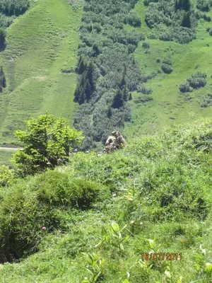 Naturlandschaft in der Nähe der Ferienwohnung
