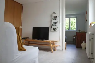 TV/Unterhaltungsangebot in der Unterkunft NEB-THUN Studio am Thunersee