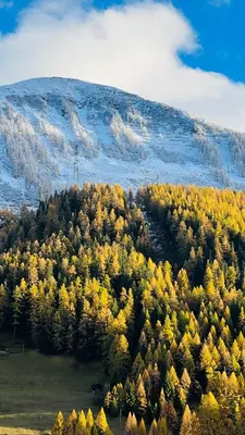 Ein allgemeiner Bergblick oder ein Berglick von des Hotels aus