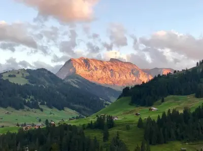 Naturlandschaft in der Nähe der Ferienwohnung