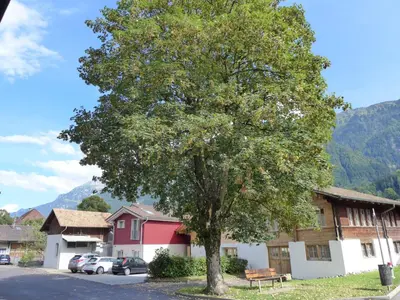 Ein allgemeiner Bergblick oder ein Berglick von der Ferienwohnung aus