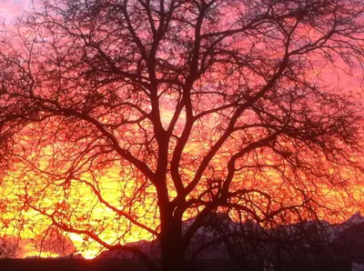 Blick auf den Sonnenuntergang/Sonnenaufgang von des Bed & Breakfasts aus oder aus der Nähe