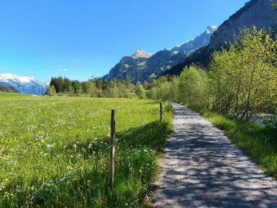 Naturlandschaft in der Nähe der Ferienwohnung