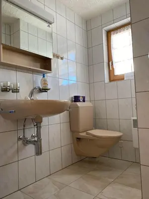 Ein Badezimmer in der Unterkunft Chalet Bellwald
