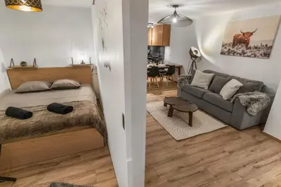 Ein Bett oder Betten in einem Zimmer der Unterkunft Appartement rénové avec vue panoramique et sauna