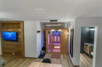 TV/Unterhaltungsangebot in der Unterkunft Appartement rénové avec vue panoramique et sauna