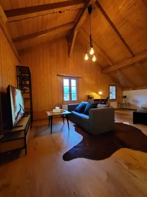 TV/Unterhaltungsangebot in der Unterkunft Forest View Apartment in Leissigen by Interlaken with No Kitchen