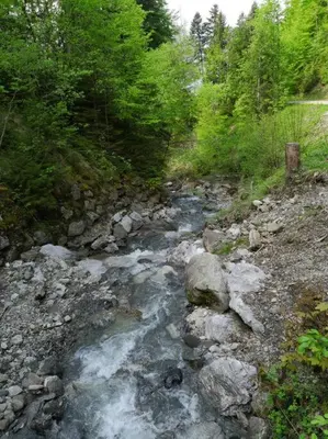 Naturlandschaft in der Nähe der Ferienwohnung