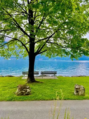 Naturlandschaft in der Nähe der Ferienwohnung