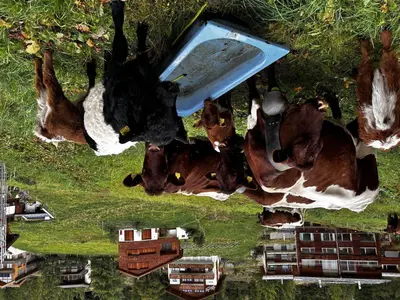 Naturlandschaft in der Nähe der Ferienwohnung