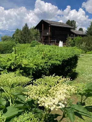 Ein Garten an der Unterkunft Les Mazots du Hameau - Charme Alpin avec Cuisine équipée