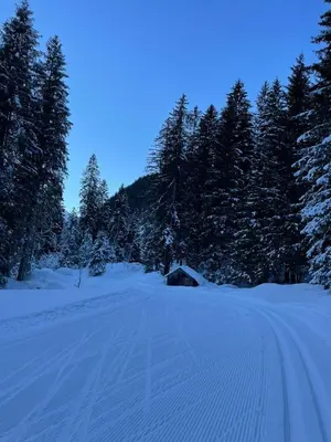 Apartment HasliView im Winter