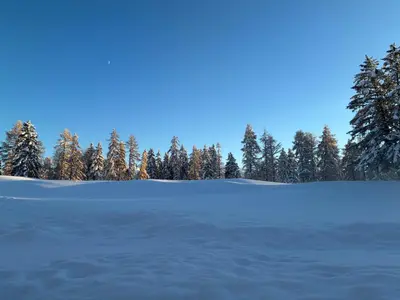 Residence Caddies Club im Winter
