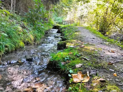 Naturlandschaft in der Nähe der Ferienwohnung
