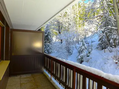 Apartment Mandarin B 19 by Interhome im Winter