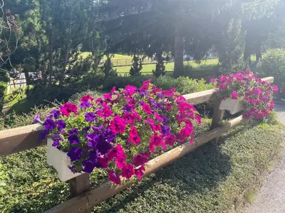 Ein Garten an der Unterkunft Appartement avec jardin à Crans-Montana