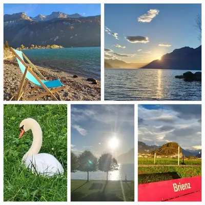 Naturlandschaft in der Nähe der Ferienwohnung