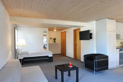 TV/Unterhaltungsangebot in der Unterkunft Apartment Lenkstrasse 6 C