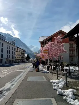 Ein allgemeiner Bergblick oder ein Berglick von der Ferienwohnung aus