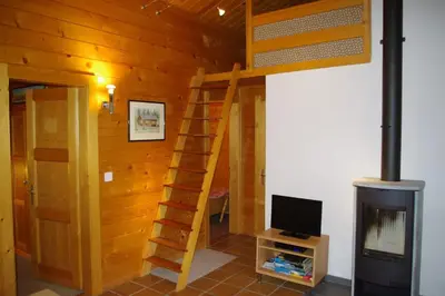 TV/Unterhaltungsangebot in der Unterkunft Le Bouvreuil Zinal, le VRAI petit chalet de vacances!