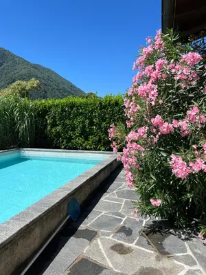 Der Swimmingpool an oder in der Nähe von Casa Medusa - con piscina, a 2 minuti dalla stazione