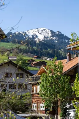 Ein allgemeiner Bergblick oder ein Berglick von der Ferienwohnung aus