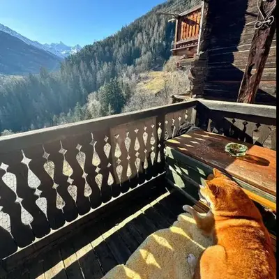 Un nid au paradis - Chalet traditionnel avec beaucoup de cachet