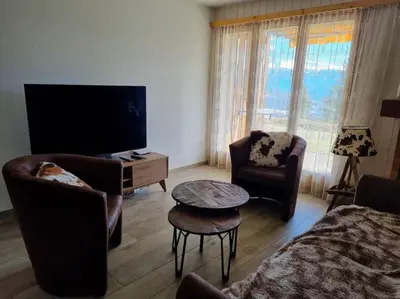 TV/Unterhaltungsangebot in der Unterkunft Appartement 3 pièces à Anzère