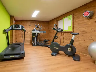 Das Fitnesscenter und/oder die Fitnesseinrichtungen in der Unterkunft Apartment Haus Alpenrose by Interhome