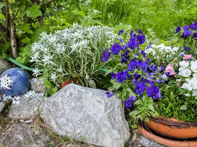 Ein Garten an der Unterkunft Chalet Himmulriich by Interhome