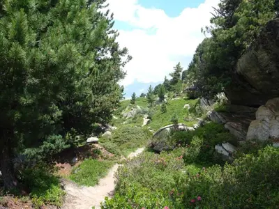 Naturlandschaft in der Nähe der Ferienwohnung