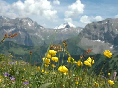 Naturlandschaft in der Nähe der Ferienwohnung