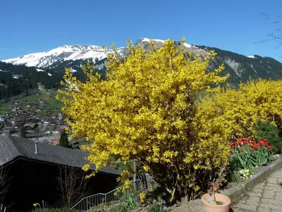 Ein allgemeiner Bergblick oder ein Berglick von der Ferienwohnung aus