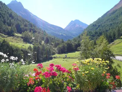Naturlandschaft in der Nähe der Ferienwohnung