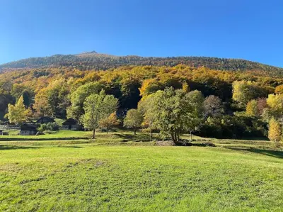 Naturlandschaft in der Nähe des Chalets