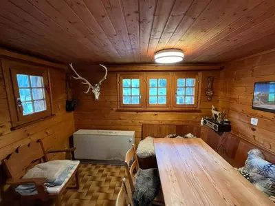 TV/Unterhaltungsangebot in der Unterkunft Chalet in Niederwald