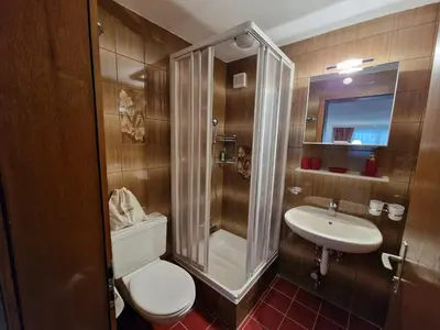 Ein Badezimmer in der Unterkunft Apartment Haus Attila