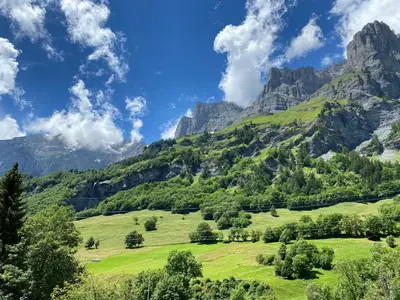 Naturlandschaft in der Nähe der Ferienwohnung