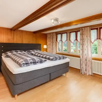 Cosy Swiss Apartment