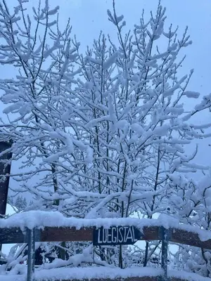 Chalet Luegistal im Winter