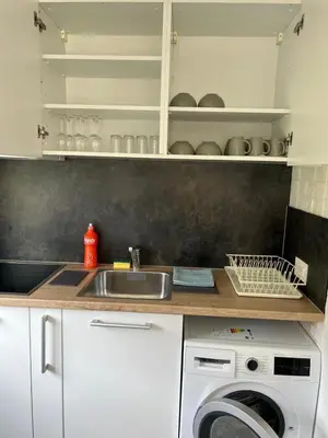 Küche/Küchenzeile in der Unterkunft HANNA Apartment