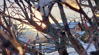Ferienwohnung Aspa EG Ost im Winter