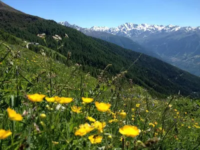 Naturlandschaft in der Nähe des Ferienhauses